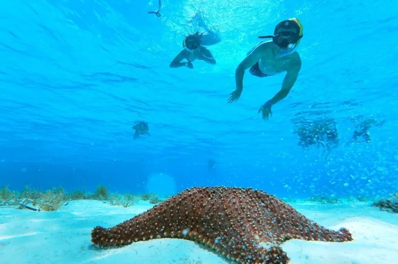 Snorkeling Cozumel in Catamarano - Foto 5