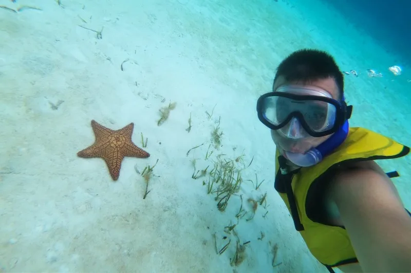 Snorkeling Cozumel in Catamarano - Foto 6