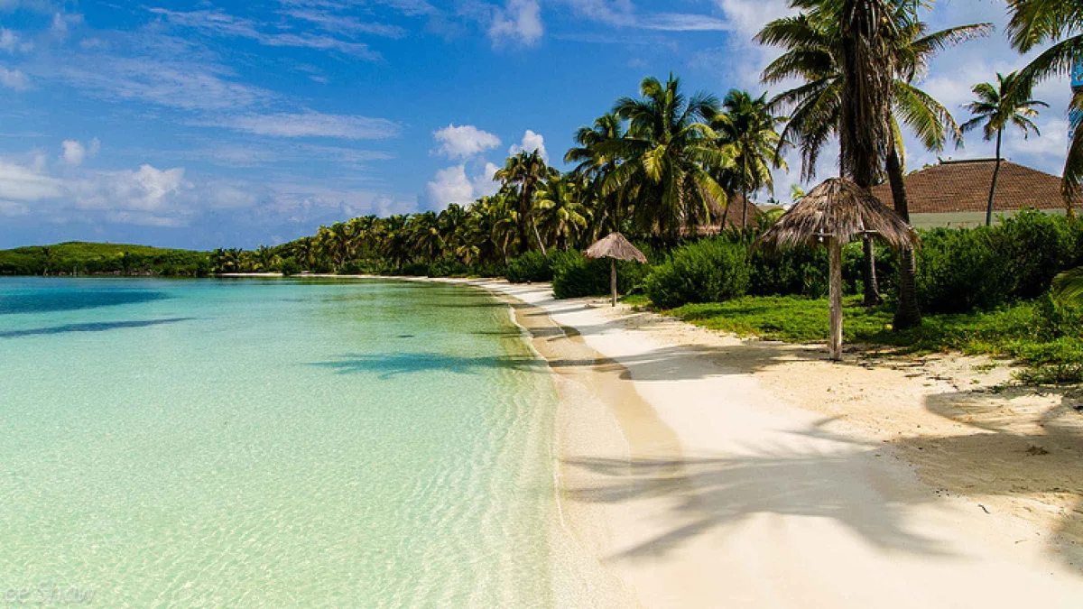 Isla Contoy & Isla Mujeres - Foto 5