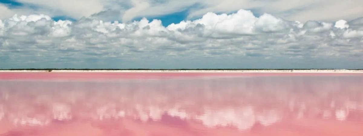 Las Coloradas - Foto 4