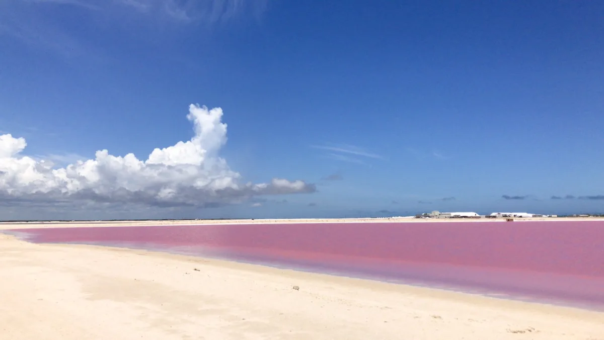 Las Coloradas - Foto 5