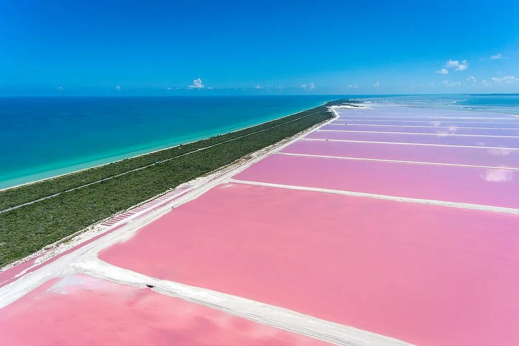 Las Coloradas - Foto 6